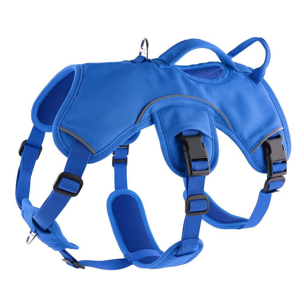 Escape-Resistant Sighthound Harness, XXS (38-48cm) / Blue