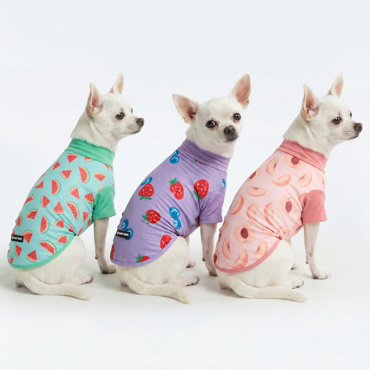 UPF 30 Dog Sun Shirt, Watermelon Berries Peaches / S