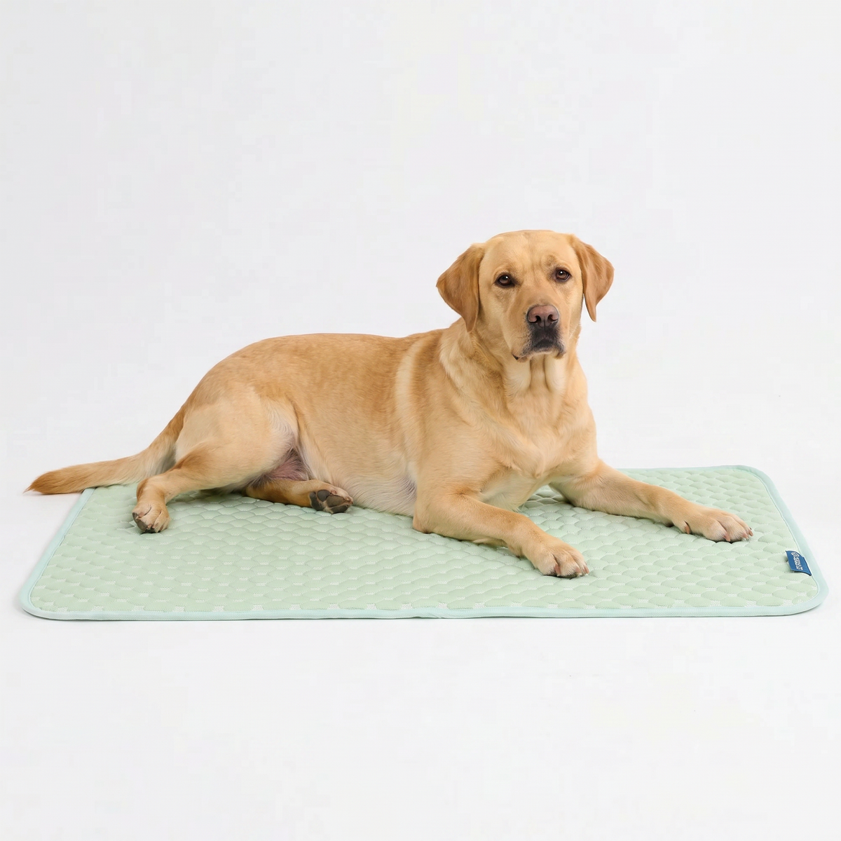 Breathable Cooling Dog Mat Orb Green / 2XL