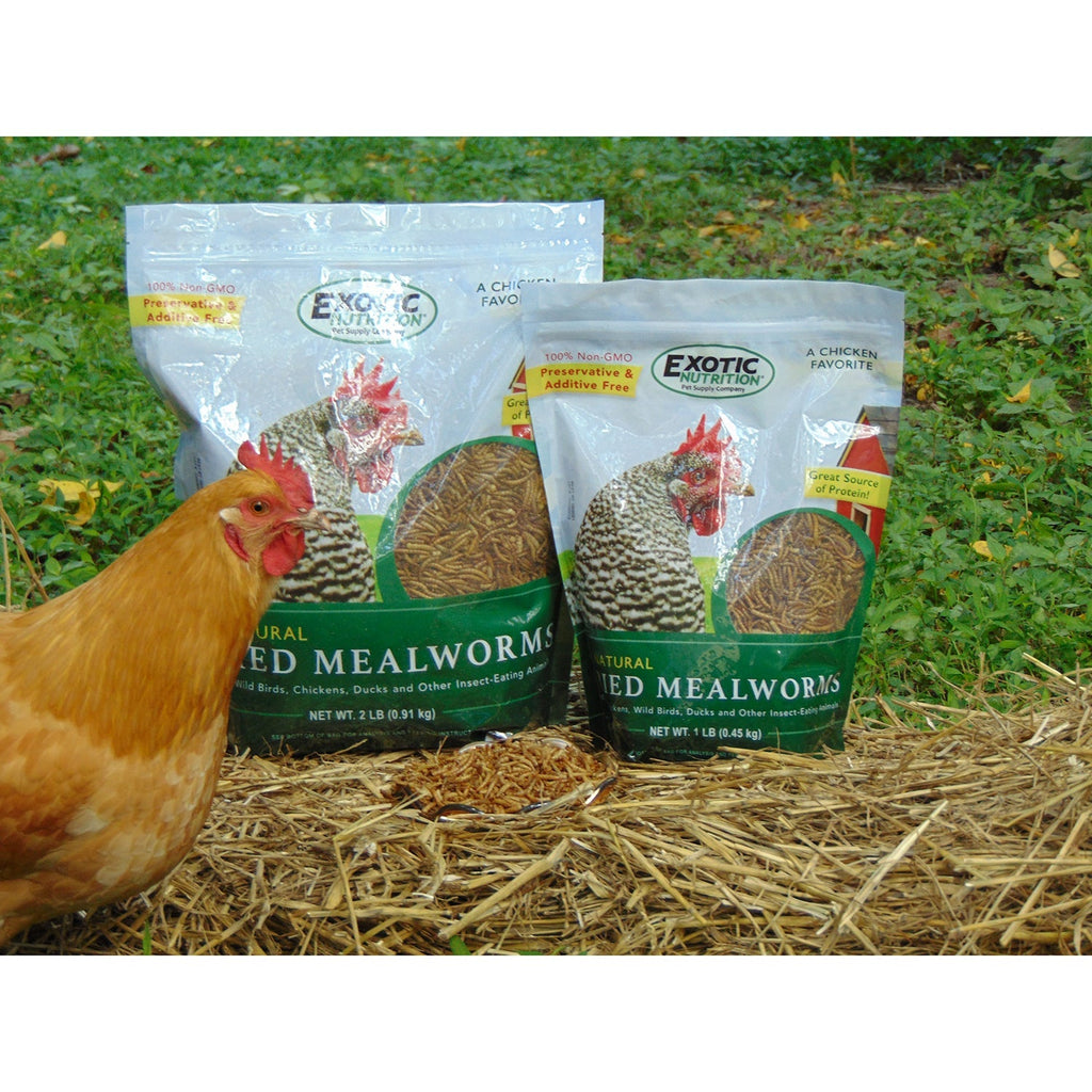 Bulk Dried Mealworms for Poultry and Wild Birds product image 12