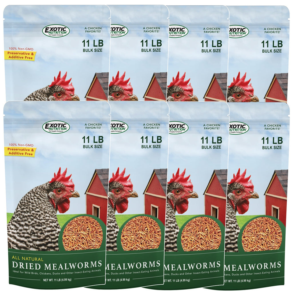 Bulk Dried Mealworms for Poultry and Wild Birds product image 17