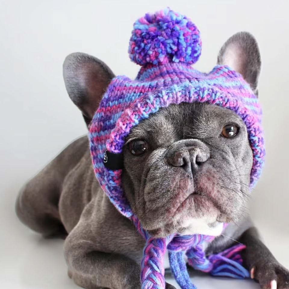 Knit Pom-Pom Dog Beanie, Hat - Purple / S (10-15lbs/4.5-7kg)