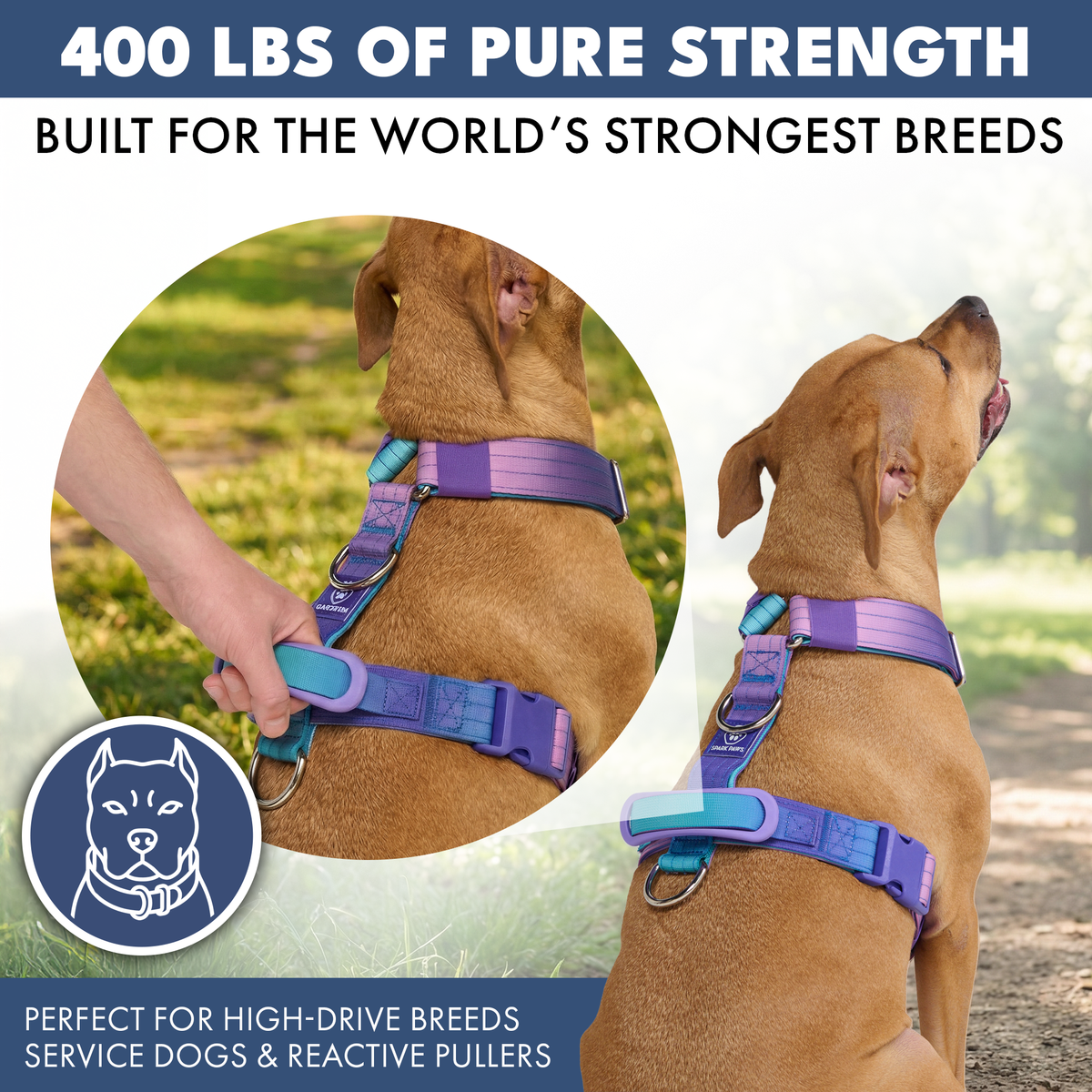 No-Pull Dog Harness product image 4