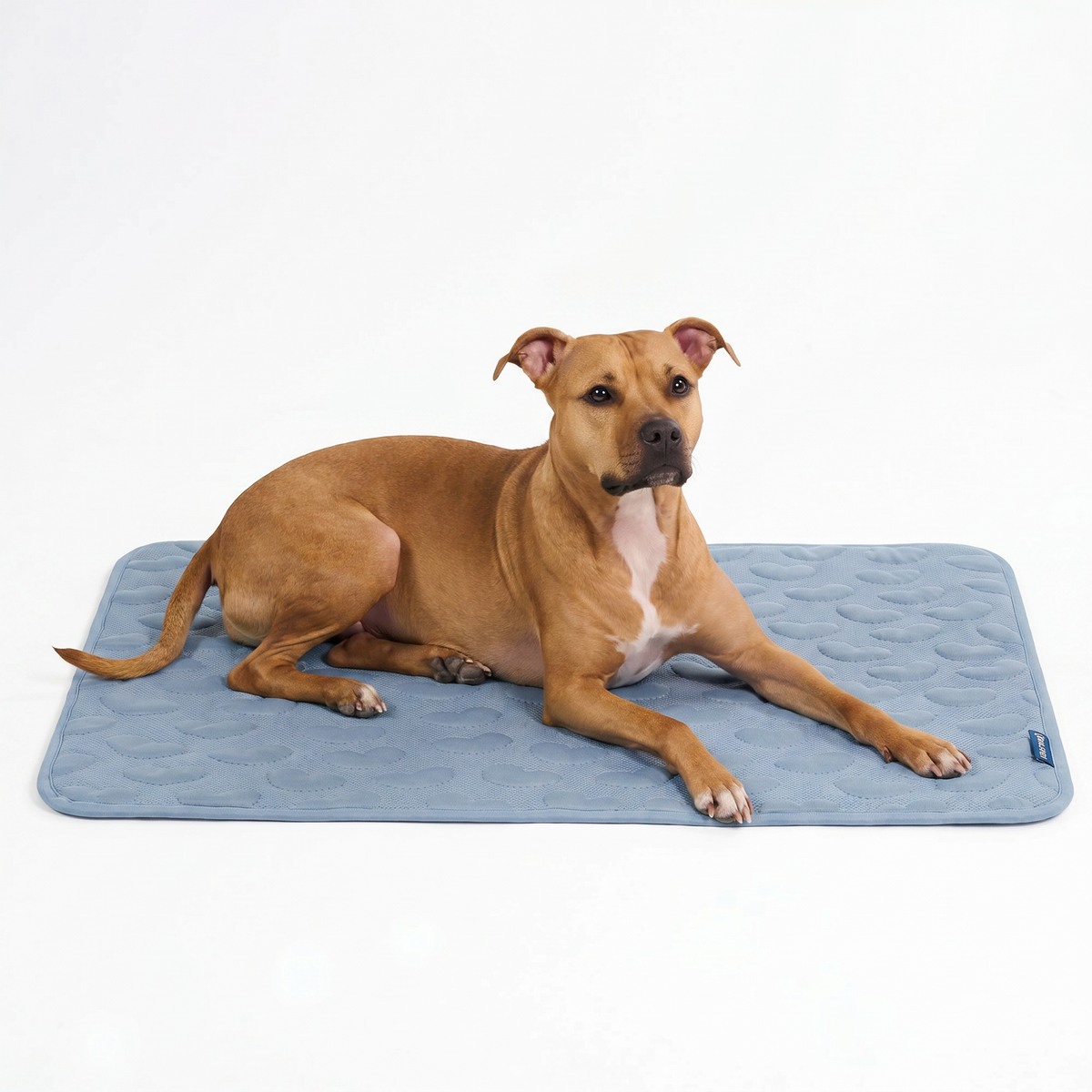 Breathable Cooling Dog Mat Hearts Ash Blue / L