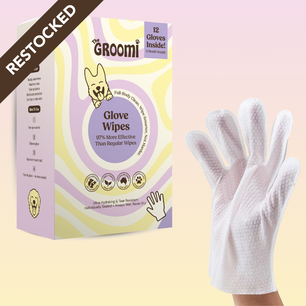 Full-Body Pet Glove Wipes product image 1