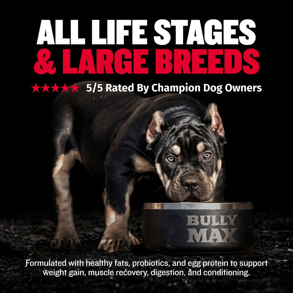 High Calorie Dog Weight Gain Chews product image 4
