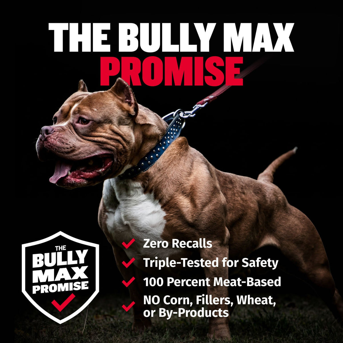 High Calorie Dog Weight Gain Chews product image 7