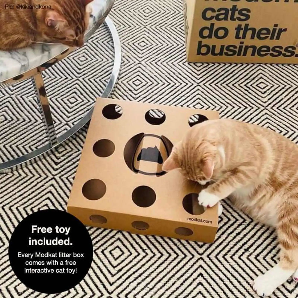 XL Dual Entry Cat Litter Box product image 7