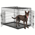 Folding Metal Dog Crate with Divider & Removable Tray – 36 Inch Portable Reinforced Kennel for Indoor & Outdoor Use