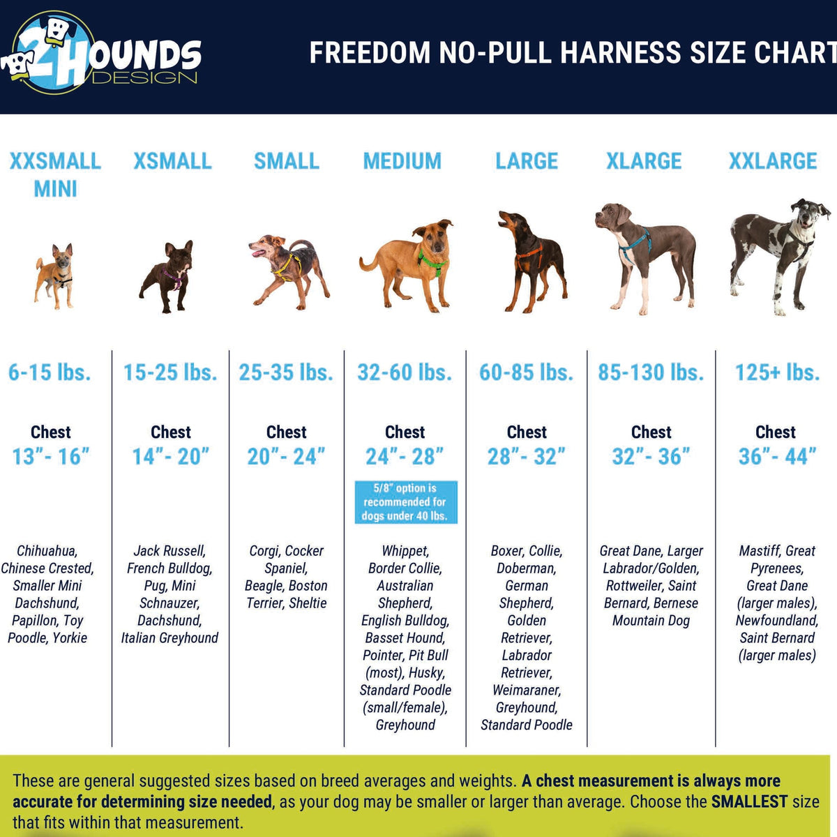 FNPH Size Chart for Hrn Listings