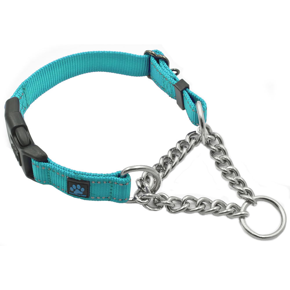Reflective Martingale Dog Collar, Teal / Extra-Small