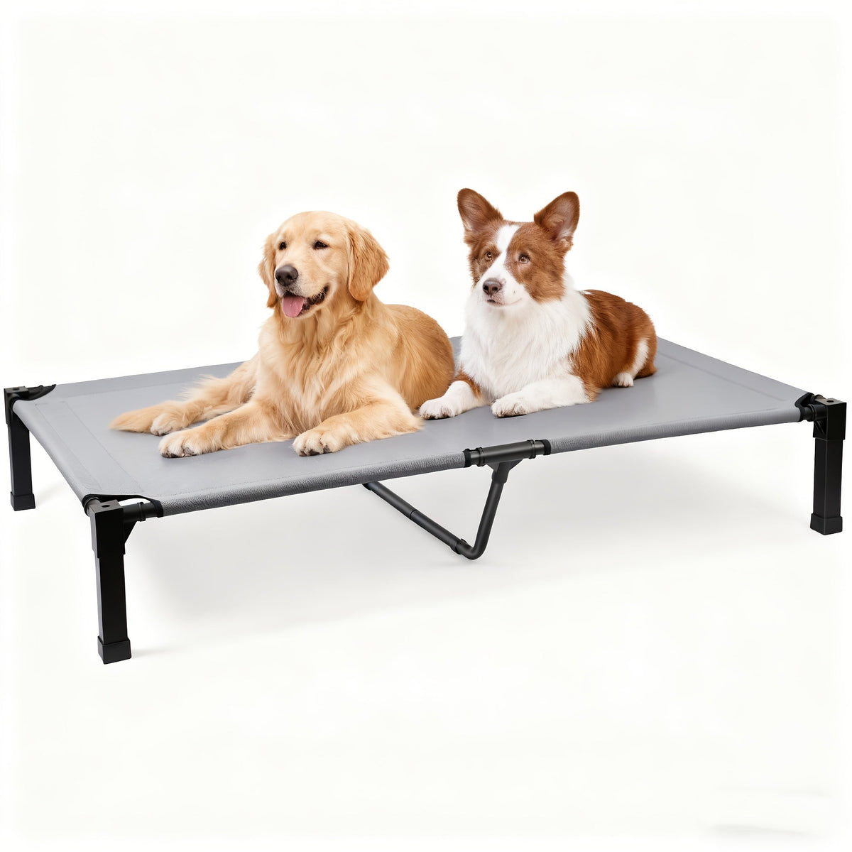 Elevated Mesh Dog Cot Bed with Folding-Leg Frame, Seven Colors and Four Labeled Sizes from 35 to 60 Inches