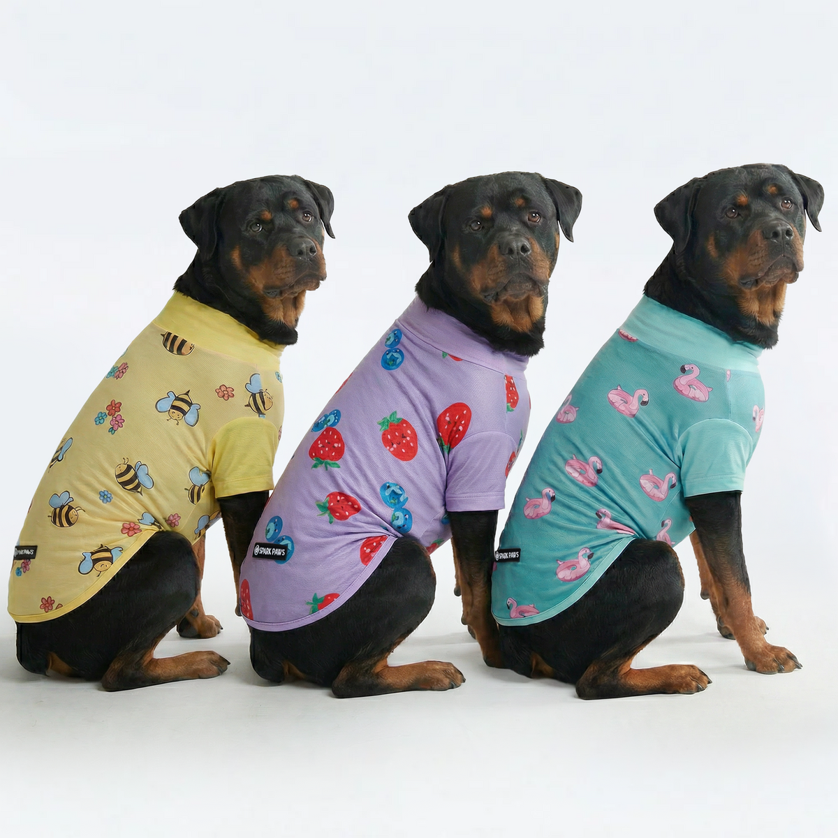 UPF 30 Dog Sun Shirt, Bees Flamingo Berries / 4XL