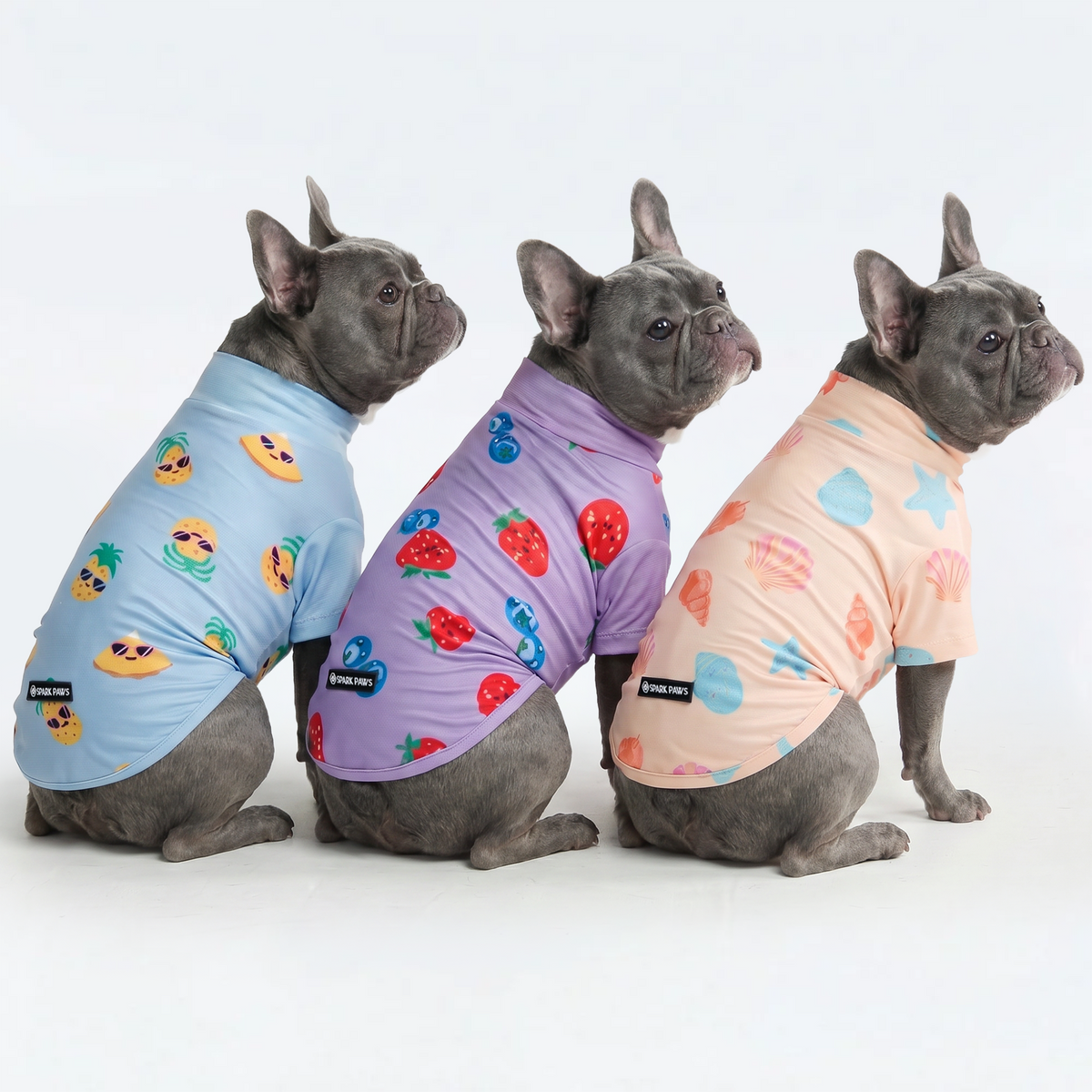 UPF 30 Dog Sun Shirt, Seashell Berries Pineapple / L