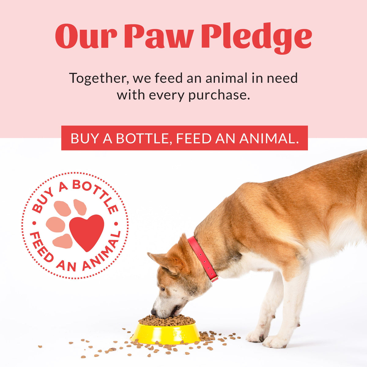 Probiotic Pet Shampoo and Conditioner product image 22