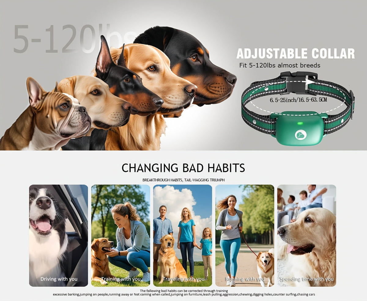 Dog Training Collar Green Remote Set with 730-Meter Range, Three Cue Modes and Two- or Three-Receiver Options