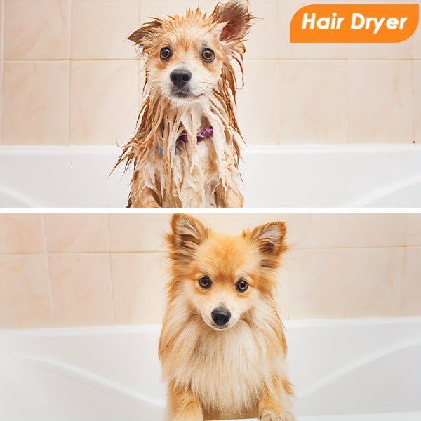 Pet Grooming Vacuum Kit with 2.2L Cup, Purple or Orange Trim and 8-in-1 or 9-in-1 Dryer Packages