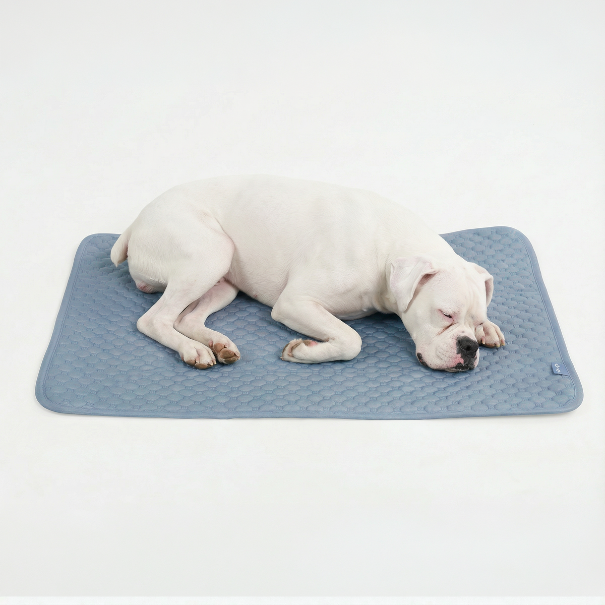 Breathable Cooling Dog Mat Ash Blue / XL