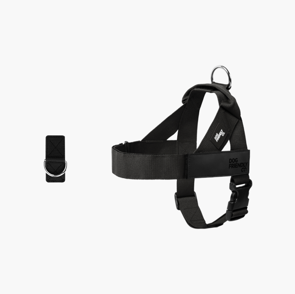 Adjustable Grab-Handle Dog Harness Black / XXS