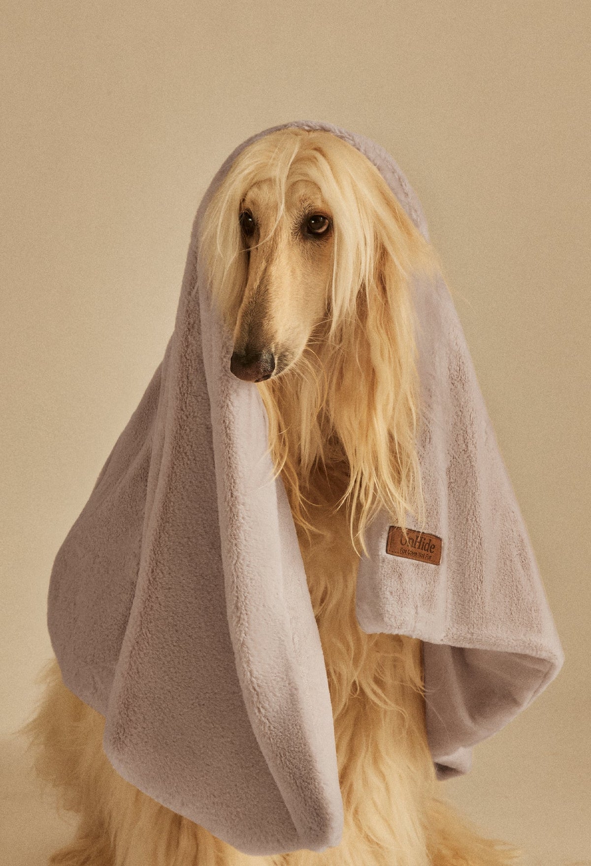 Water-Resistant Pet Blanket Mocha Shar Pei