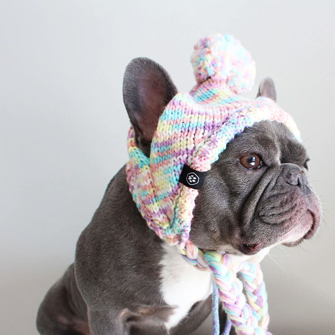 Knit Pom-Pom Dog Beanie, Hat - Pastel / S (10-15lbs/4.5-7kg)