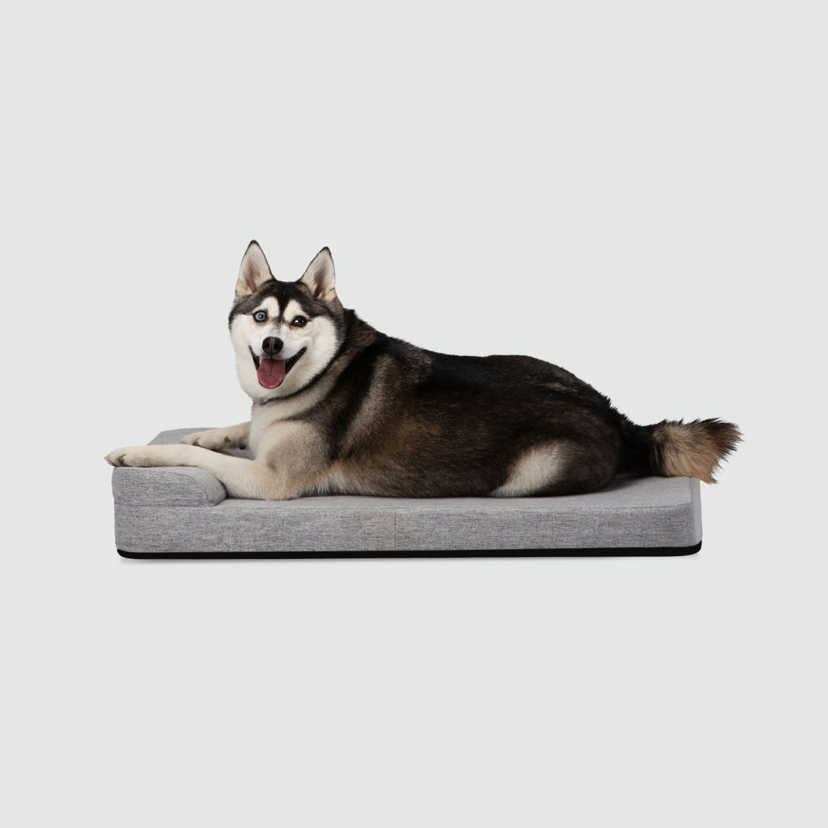 Water-Repellent Dog Crate Bed Medium