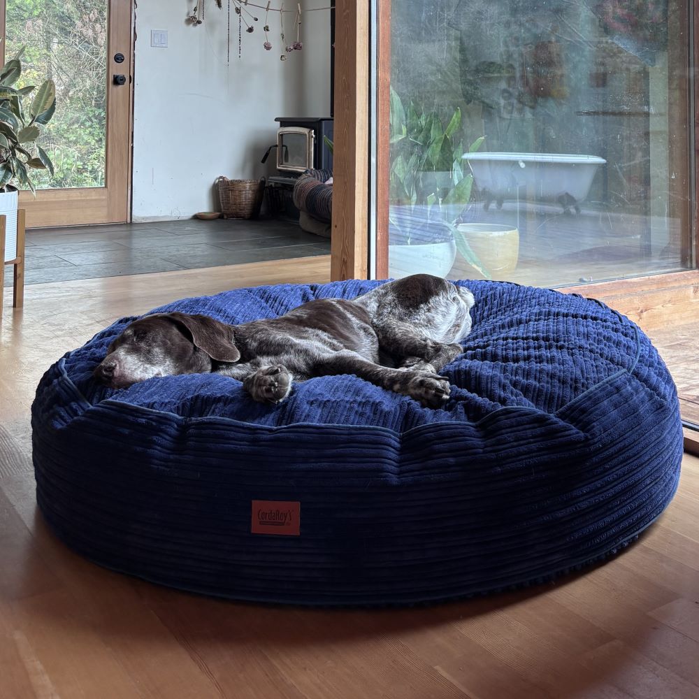 Waterproof 50-Inch Dog Bed 50 Inch / Terry Corduroy / Navy