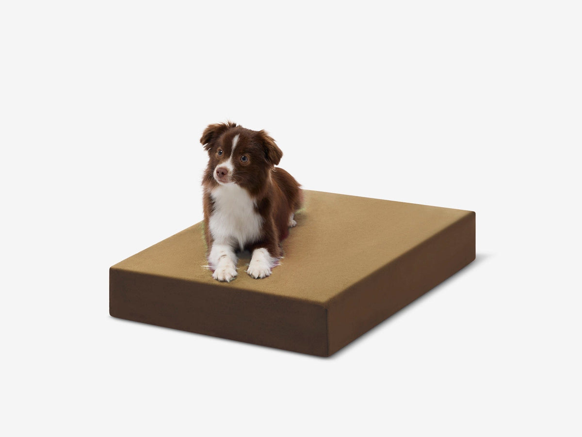 Orthopedic Dog Crate Bed Small - 27" X 18.2" X 4" / Tough Cordura