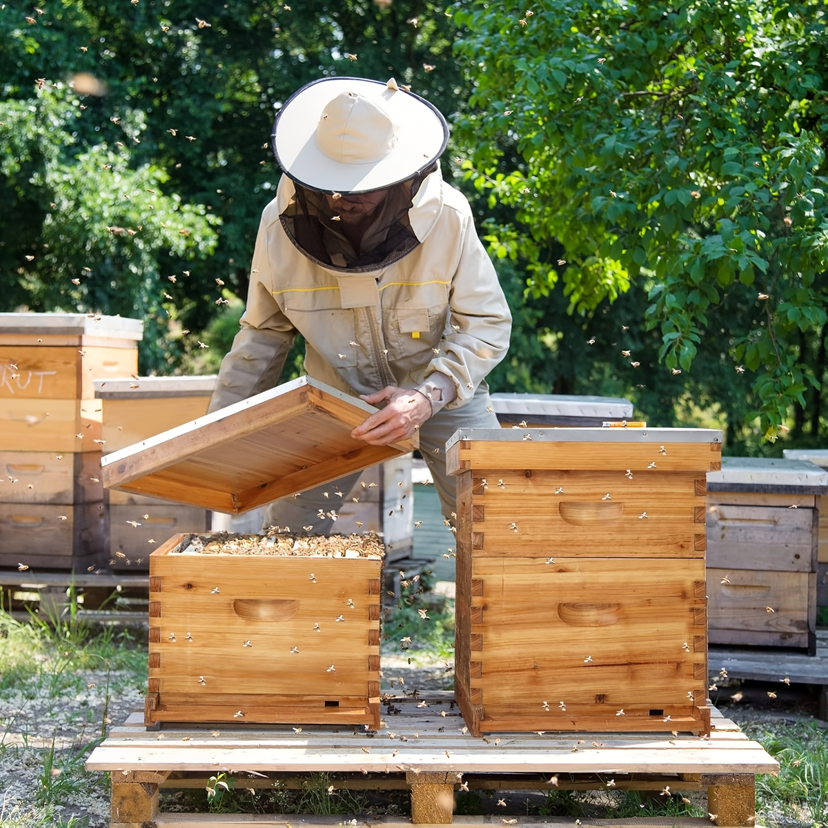 Langstroth Bee Hive Kit Wax Coated Wood 10-Frame 3-Layer Frames for Everyday Face, Beard and Body Grooming