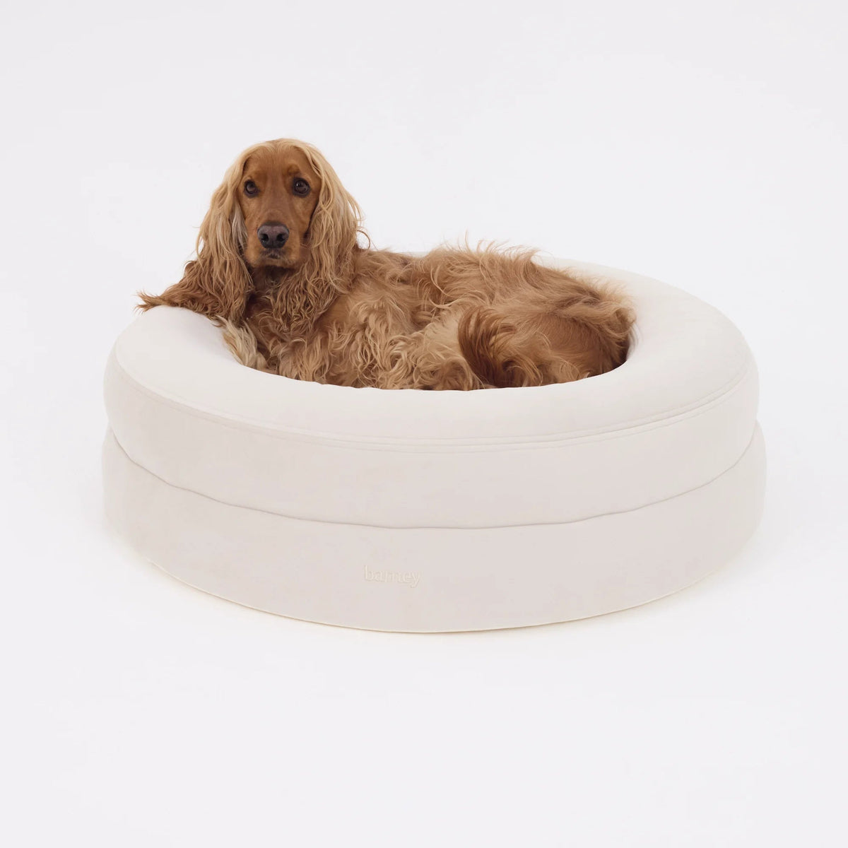 Round Orthopaedic Dog Bed Bone / M