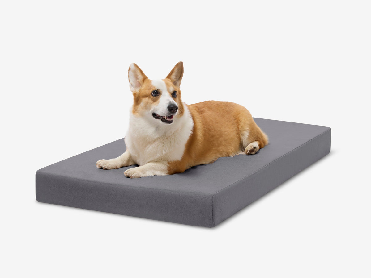 Orthopedic Dog Crate Bed Large - 39" X 25.5" X 4" / Charcoal Gray
