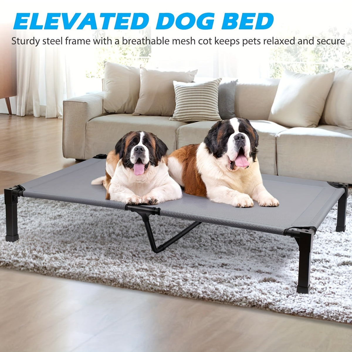 Elevated Mesh Dog Cot Bed with Folding-Leg Frame, Seven Colors and Four Labeled Sizes from 35 to 60 Inches