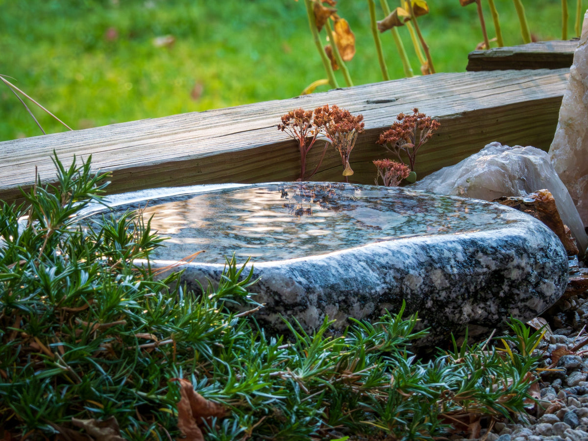 Hand-Chiseled Granite Puddle Stone Birdbath, Jumbos