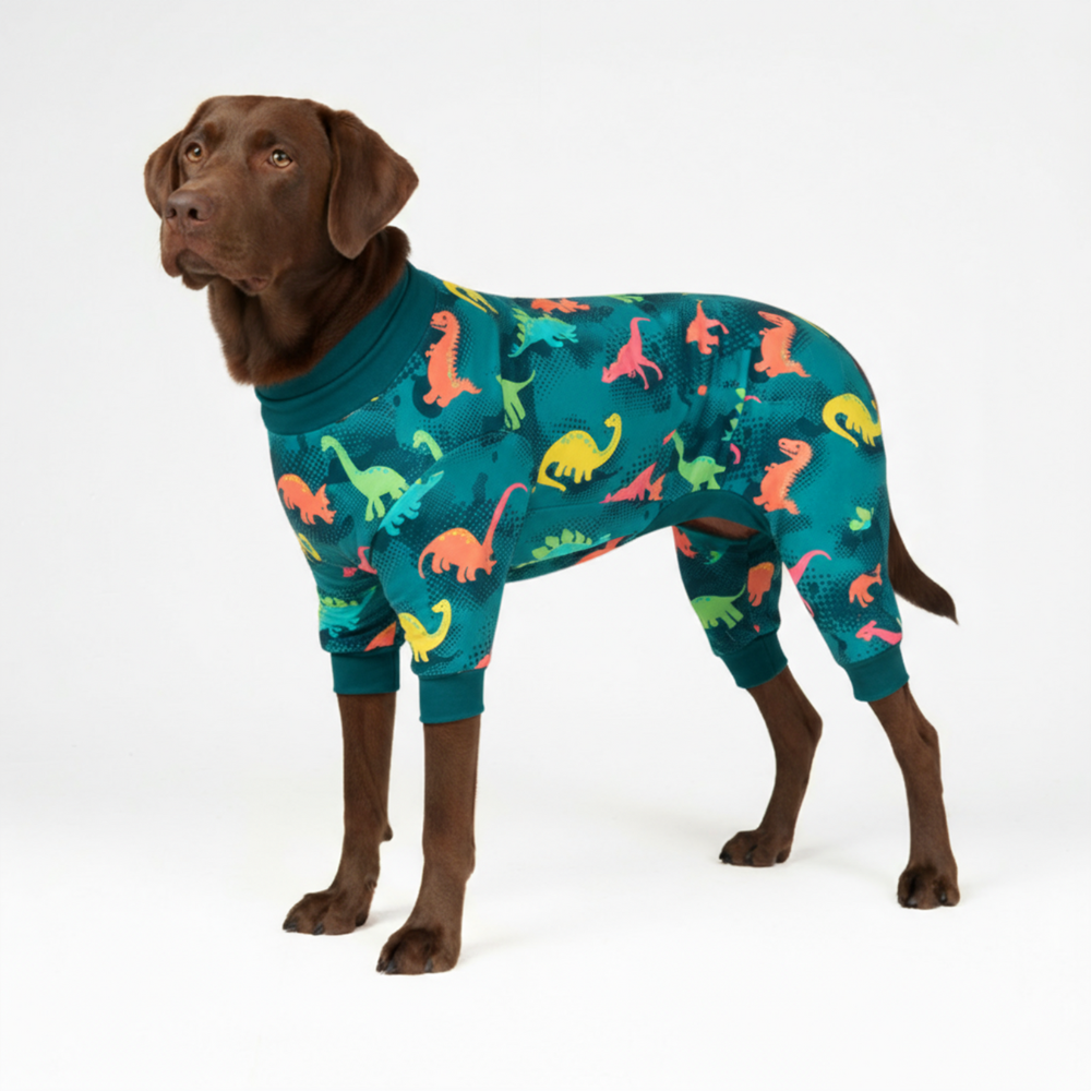 Dinosaur Dog Pajamas, 3XL