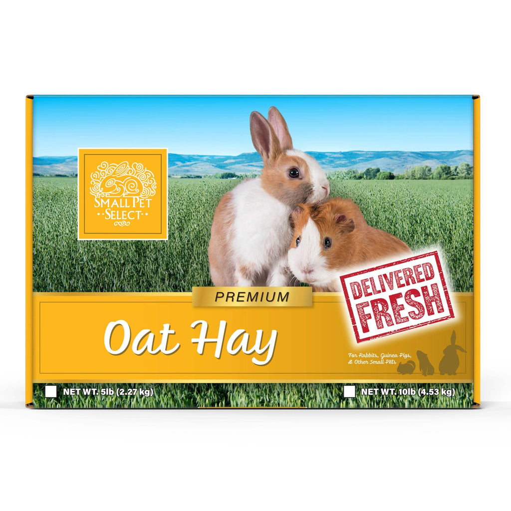 Oat Hay for Rabbits and Small Pets product image 2