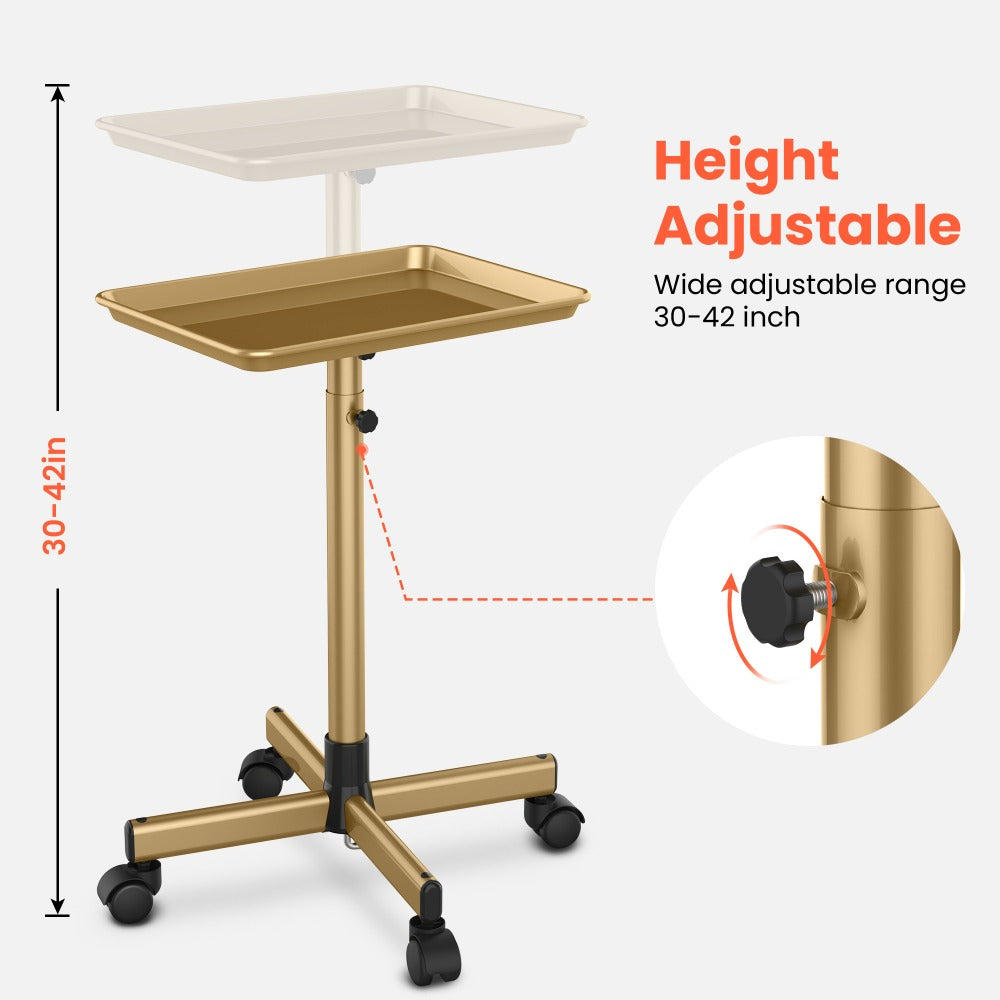 Rolling Salon Tray Cart on Wheels Adjustable Height 17.9x12.8 Inch Mobile Stylist Tray Table for Spa Tattoo Studio Blowdry Bar Aesthetic