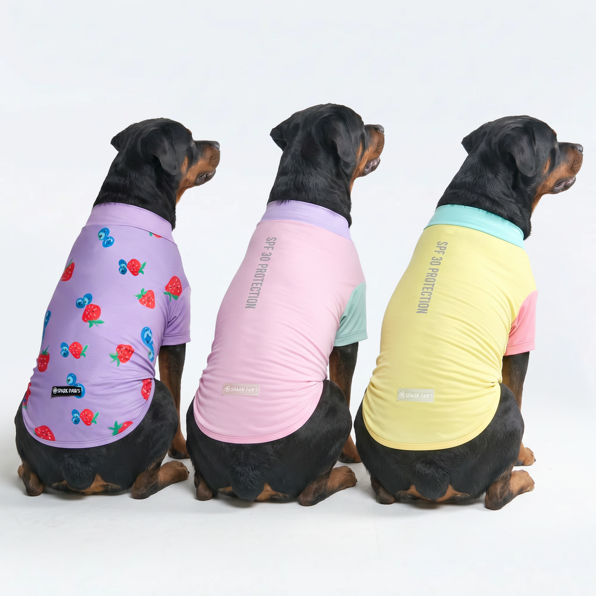 UPF 30 Dog Sun Shirt, Gelato Yuzu Berries / 4XL