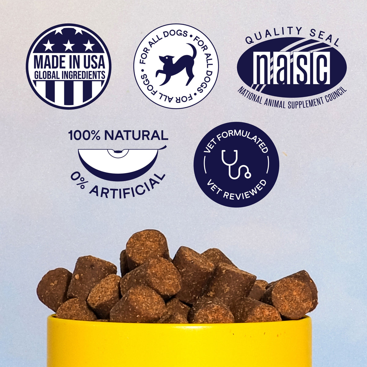 A yellow bowl of brown dog kibble is flanked by five seals: Made in USA, For All Dogs, NASC Quality Seal, 100% Natural Ingredients, and Vet Formulated & Reviewed. The Finn Allergy & Itch Supplement for Dogs features an immune defense blend on a light blue background.