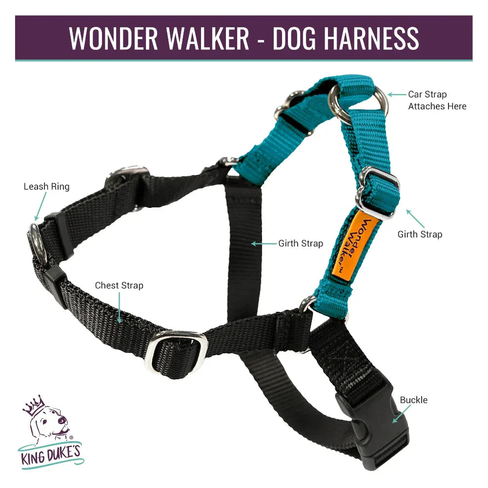 Wonder Walker features
