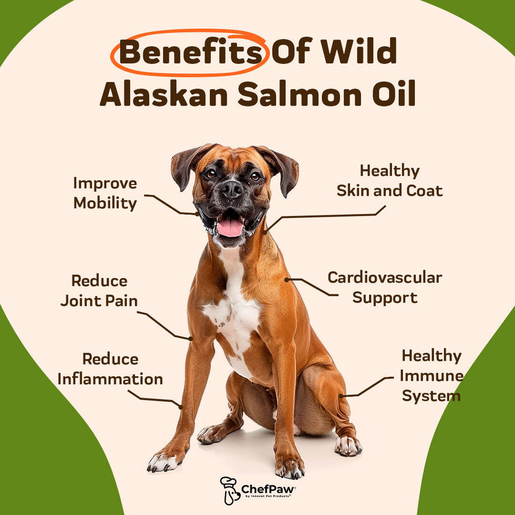 benefits of wild alaskan salmon oil