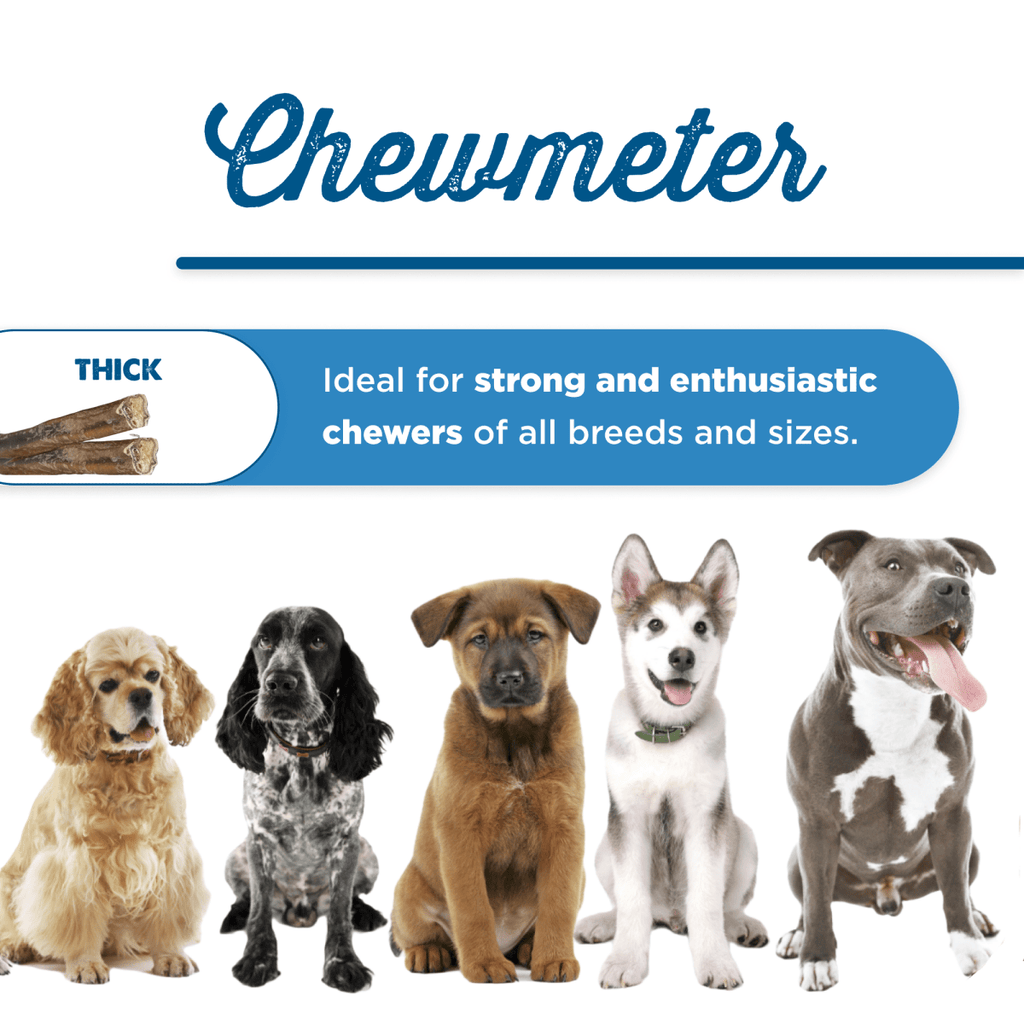 12-Inch Thick Odor-Free Bully Sticks product image 11