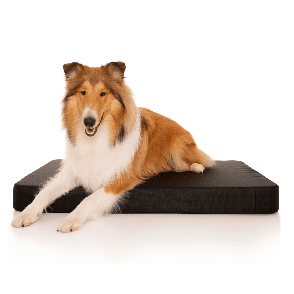 Waterproof Orthopedic Dog Bed Black / Small