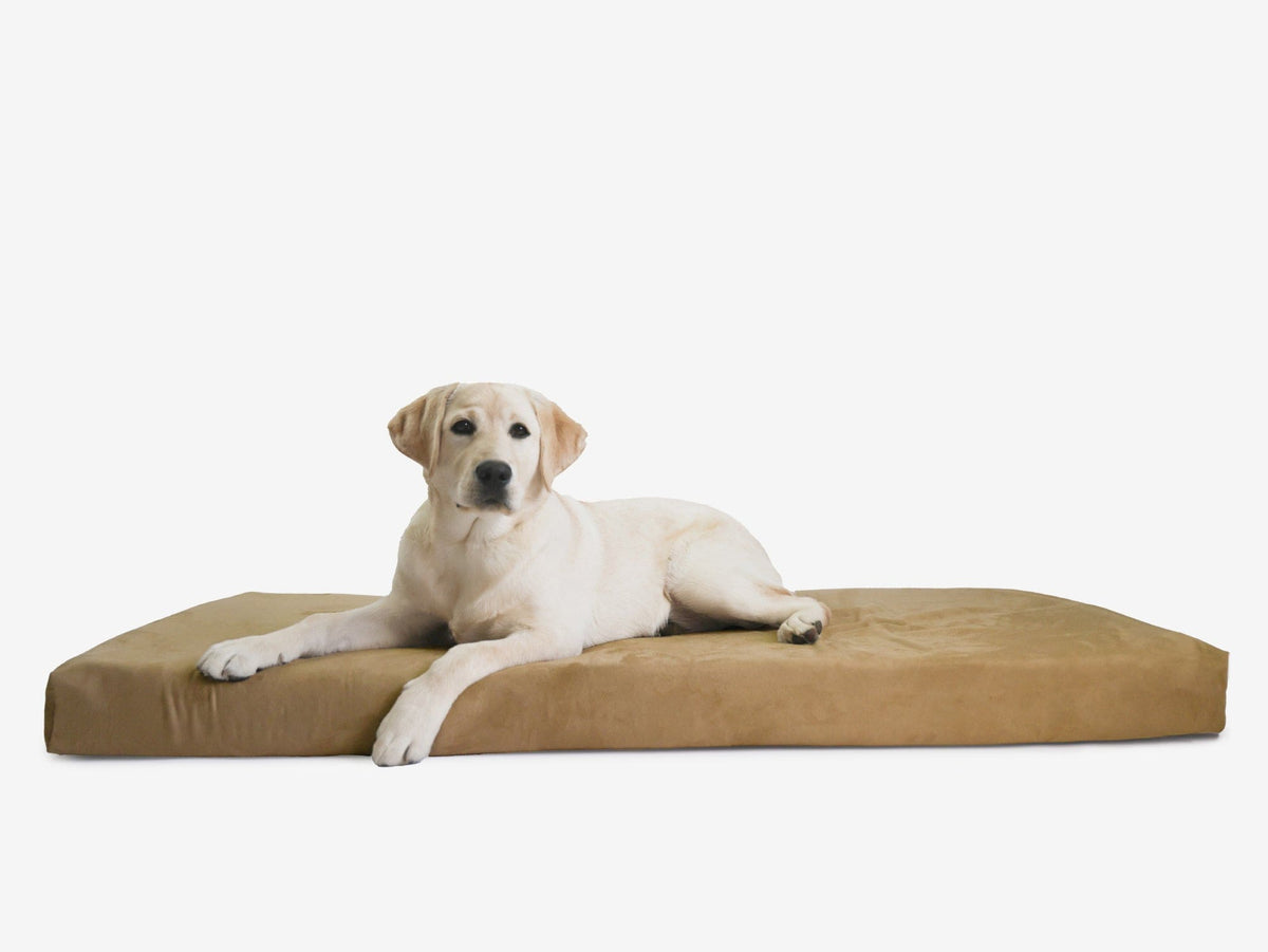 Orthopedic Dog Crate Bed XXL - 50" X 32" X 4" / Tough Cordura