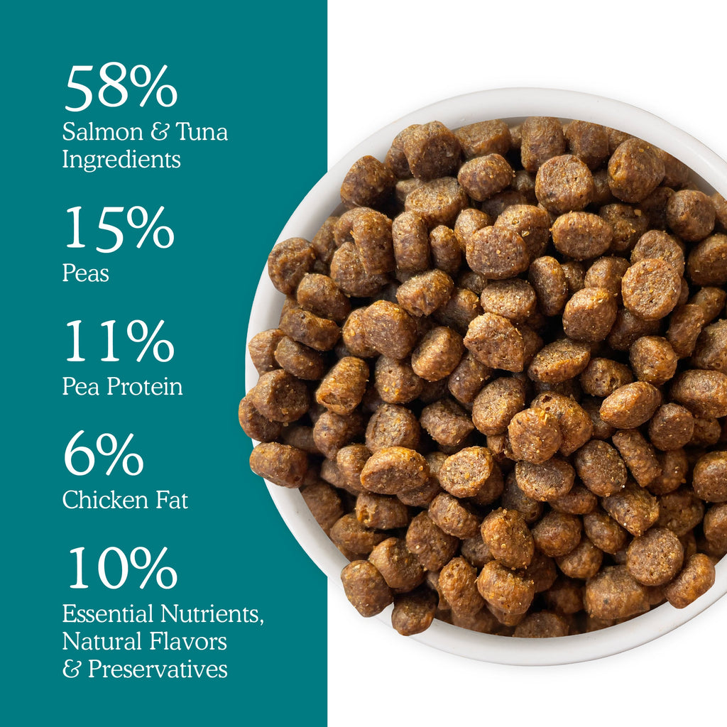 A bowl of Cat Person Salmon & Tuna Dry Food sits beside a teal list: 58% salmon & tuna, 15% peas, 11% pea protein, 6% chicken fat, and 10% nutrients, natural flavors & preservatives for healthy cats.
