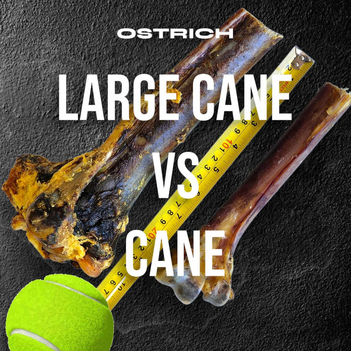 Large Ostrich Cane Dog Chew product image 3