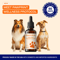 Pawprint Wellness Protocol