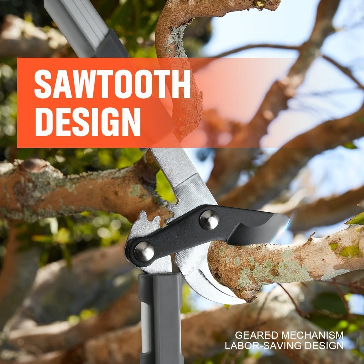 Long Reach Pruning Shears 18-38 Inch Extendable – Non-Stick Steel Blades Cut 2" Branches, Shock-Absorbing Handle