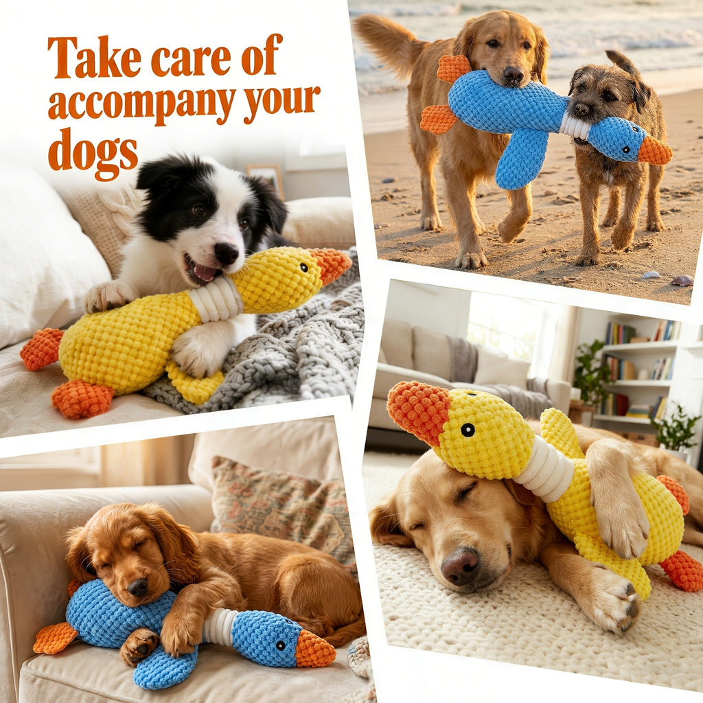 Squeaky Plush Dog Toys for Small Medium Large Dogs – Crinkle Stuffed Animal Chew Toy for Puppies, Shark & Platypus Design