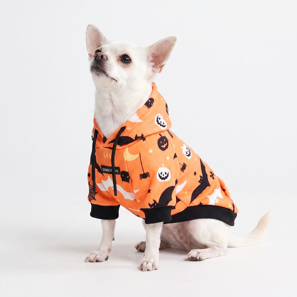 Halloween Dog Hoodie, Halloween Orange Hoodie / S