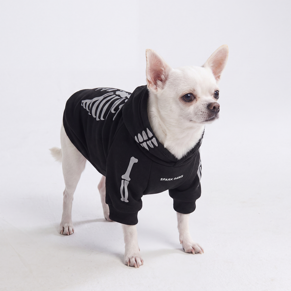 Halloween Dog Hoodie, Halloween Skeleton Hoodie / S